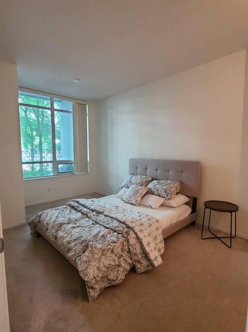 Apartment Luxury Lakefront Condo+free Parking+pool+gym+patio Toronto