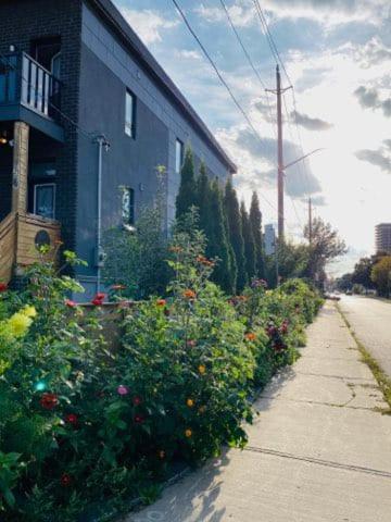 Luxury Iv East York Space Share Canada Homestay *