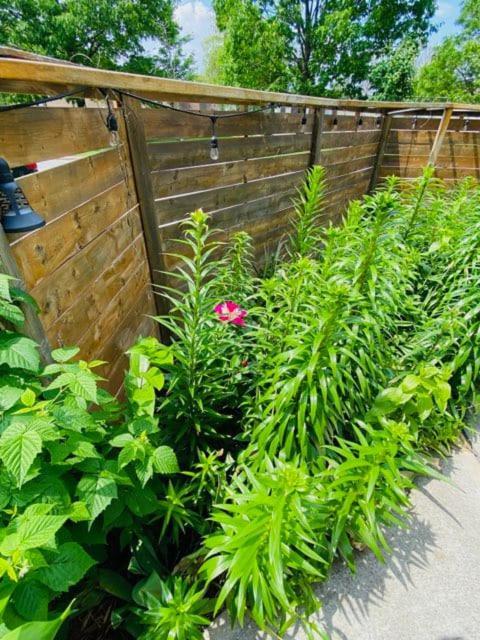 Homestay Luxury Iv East York Space Share Canada Toronto