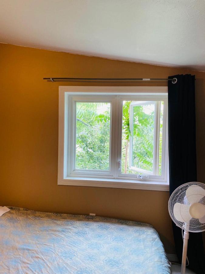 Luxury Iv East York Space Share Canada Toronto