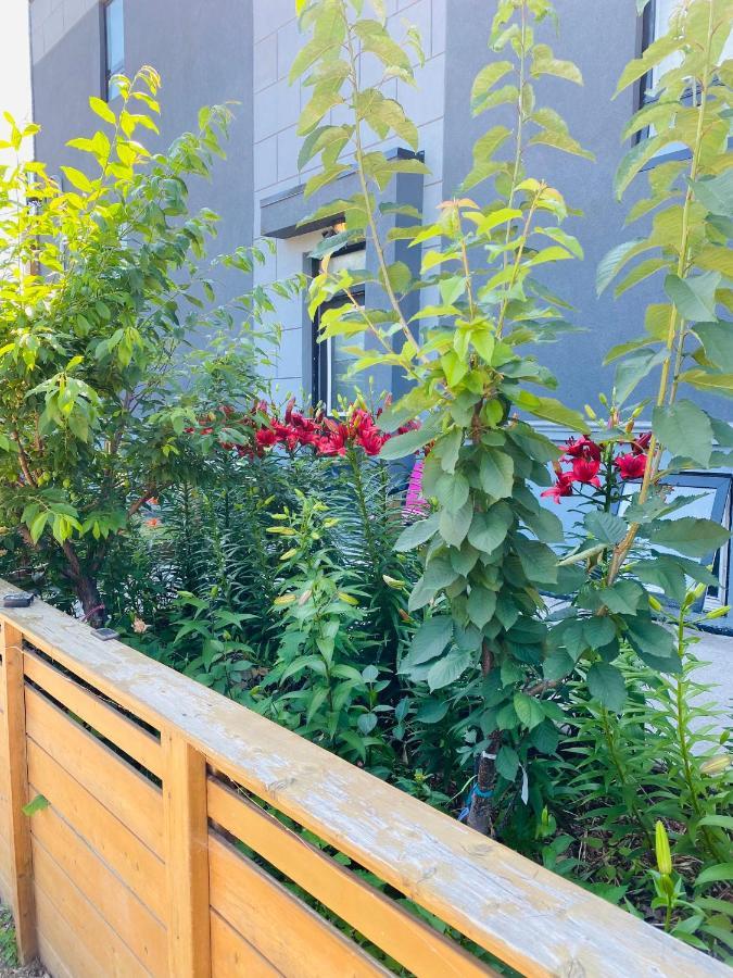 Luxury Iv East York Space Share Canada * Toronto