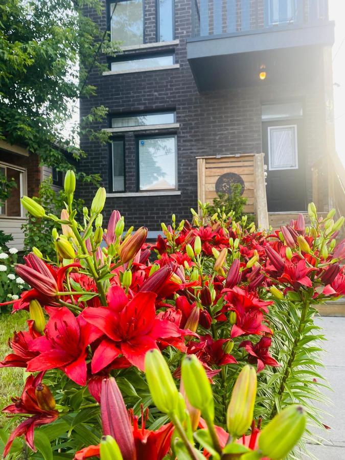 Homestay Luxury Iv East York Space Share Canada *