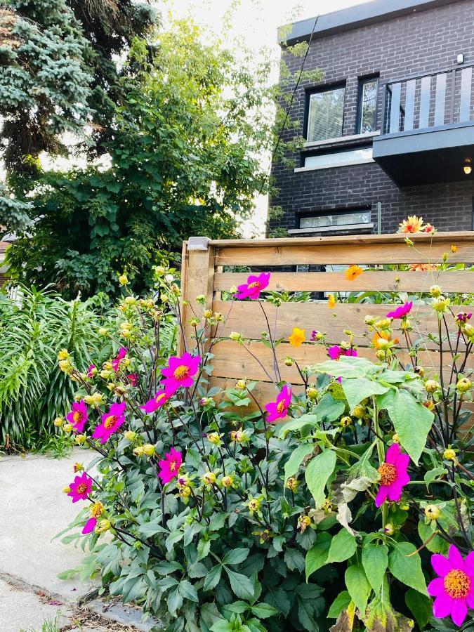 Luxury Iv East York Space Share Canada Toronto