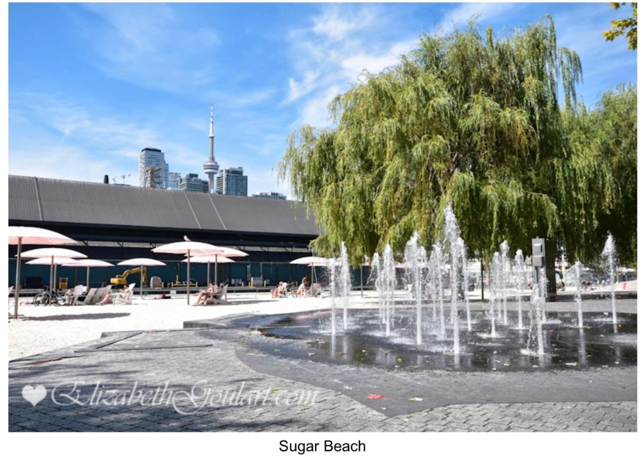Apartment Three-bedroom With Free Parking Nearby Cn Tower With Lake View