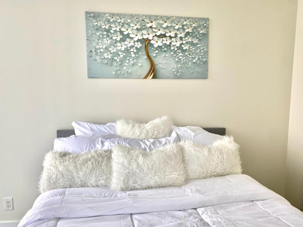 Apartment Cozy 2 Bedroom Free Parking Downtown 1min Scotiabank Arena Tff Cn Tower Rogers Centre Union Station Toronto