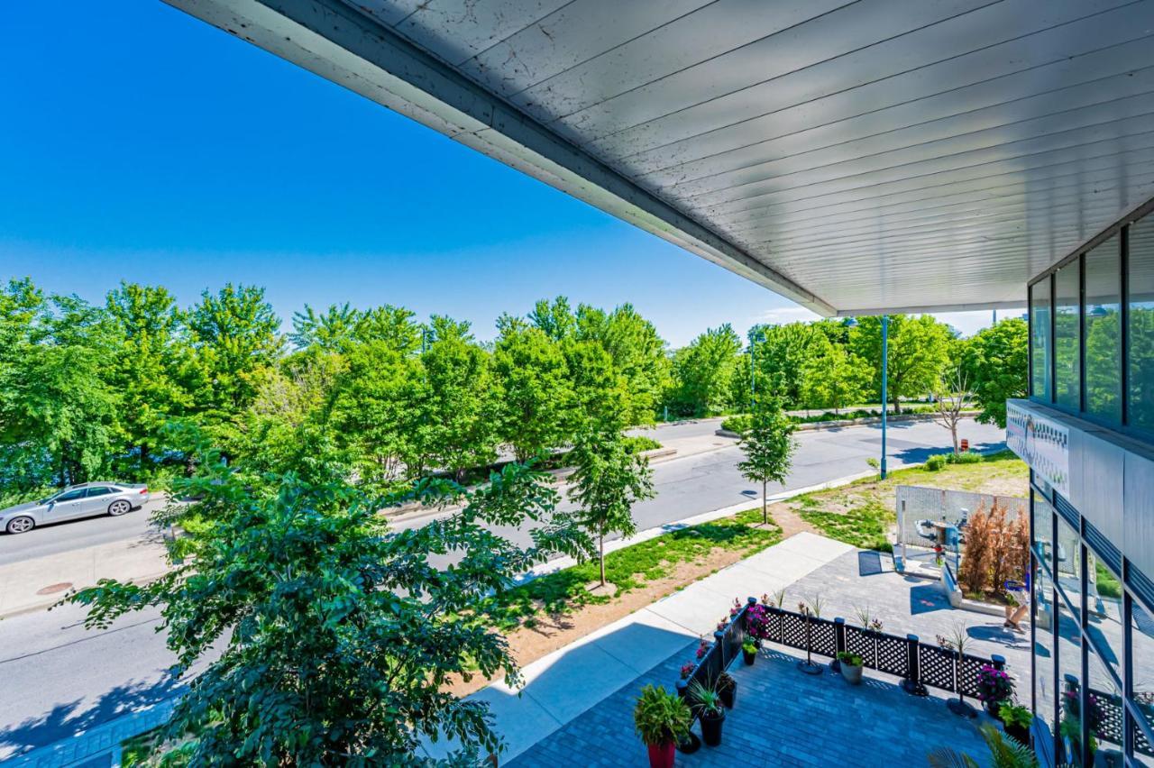 In Parklawn & Lake Shore With Free Parking Close To Airport Apartment *