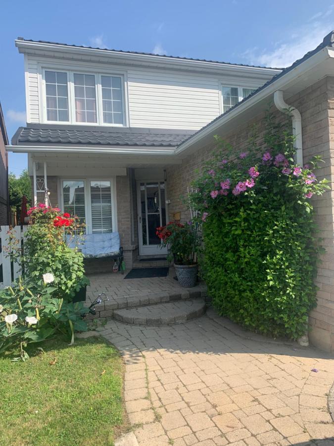 Big Oasis Studio Near Airport Yyz Guest house Toronto