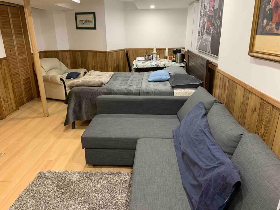 Big Oasis Studio Near Airport Yyz