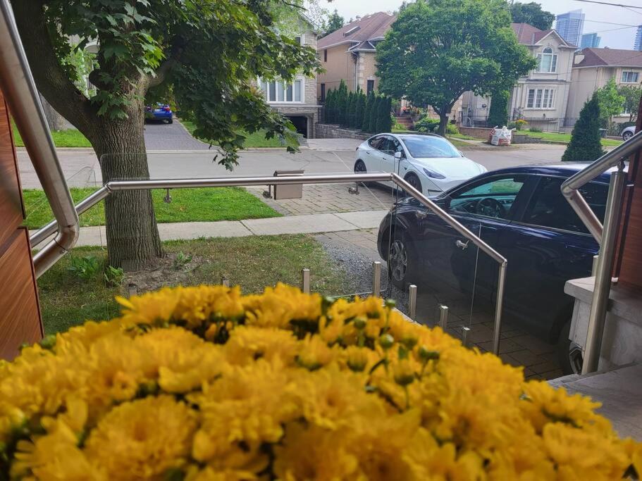 Modern House Homestay Toronto