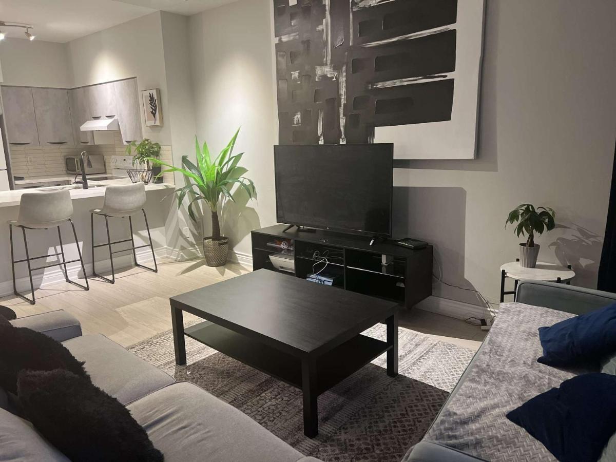 Cozy York Toronto
