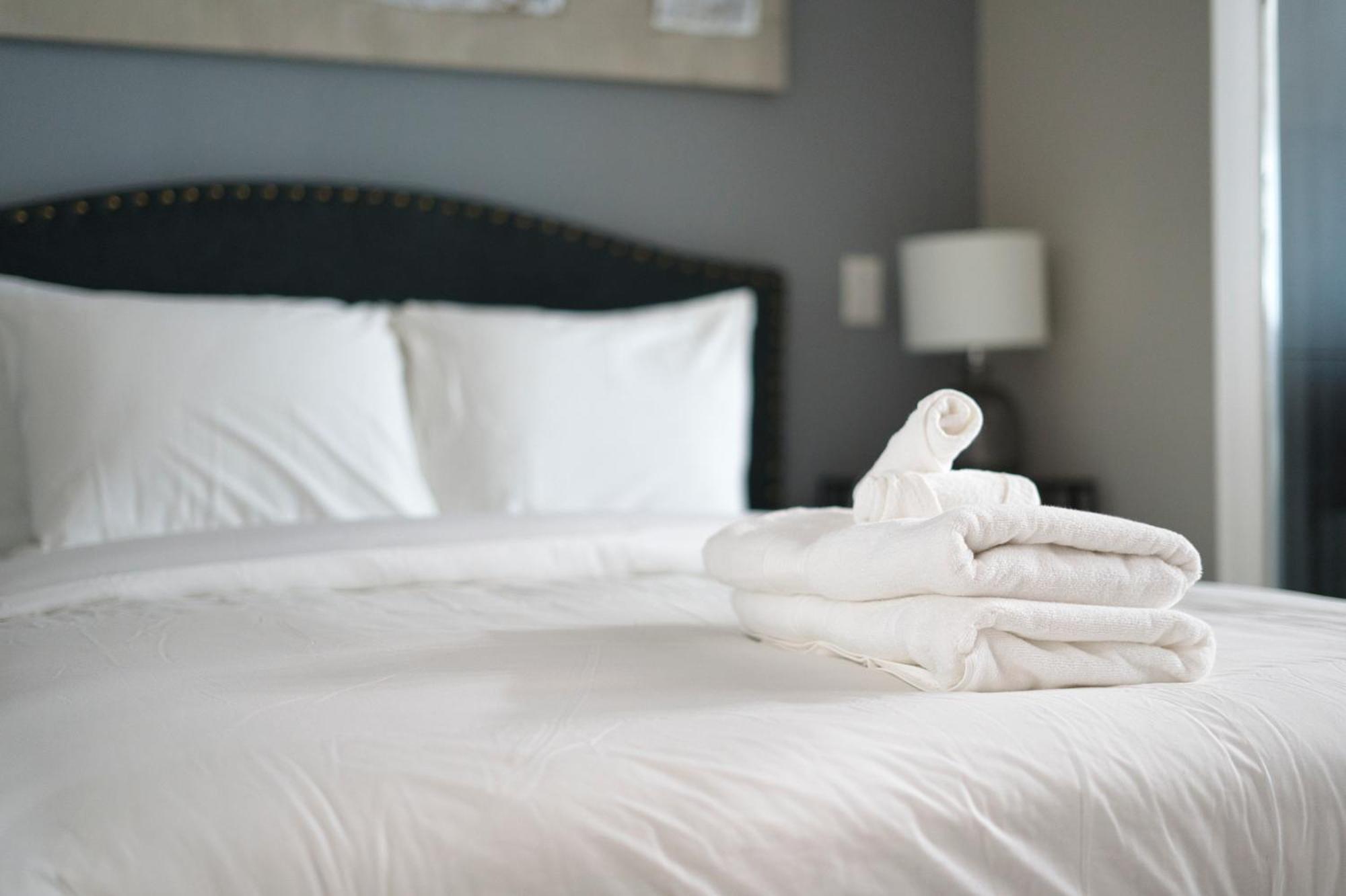 Modern 1 Bedroom Sleeps 3 Yorkville Stk Apartment