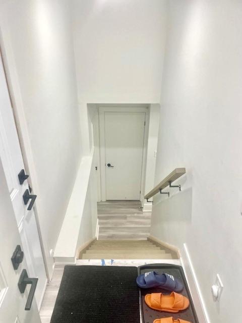 Scarborough New 2-bedroom Basement *
