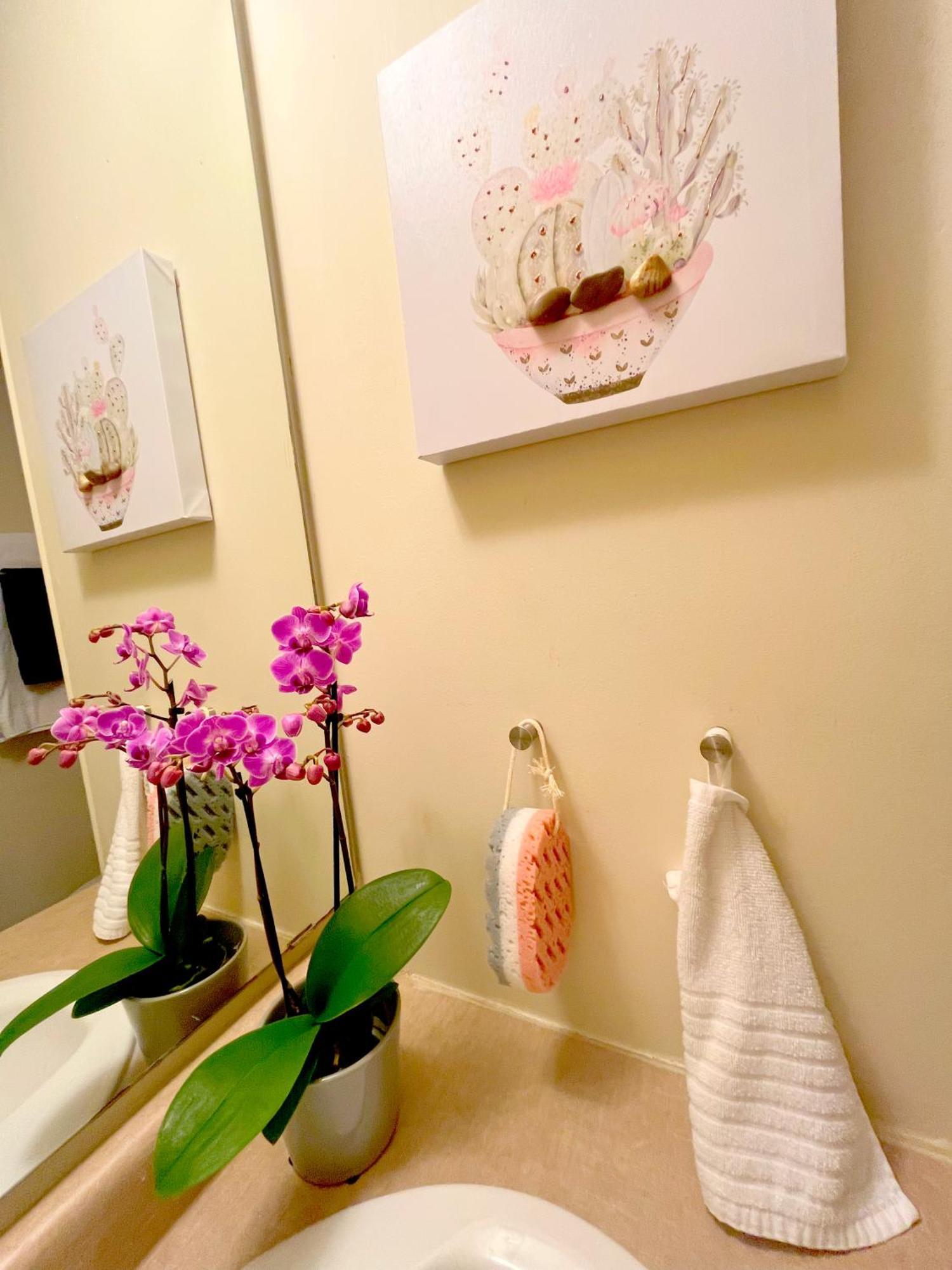 Homestay Stunning In Townhouse Across The Toronto