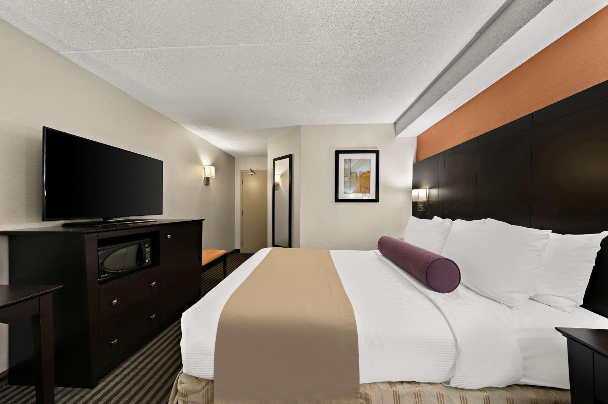 Western North York & 4* Toronto