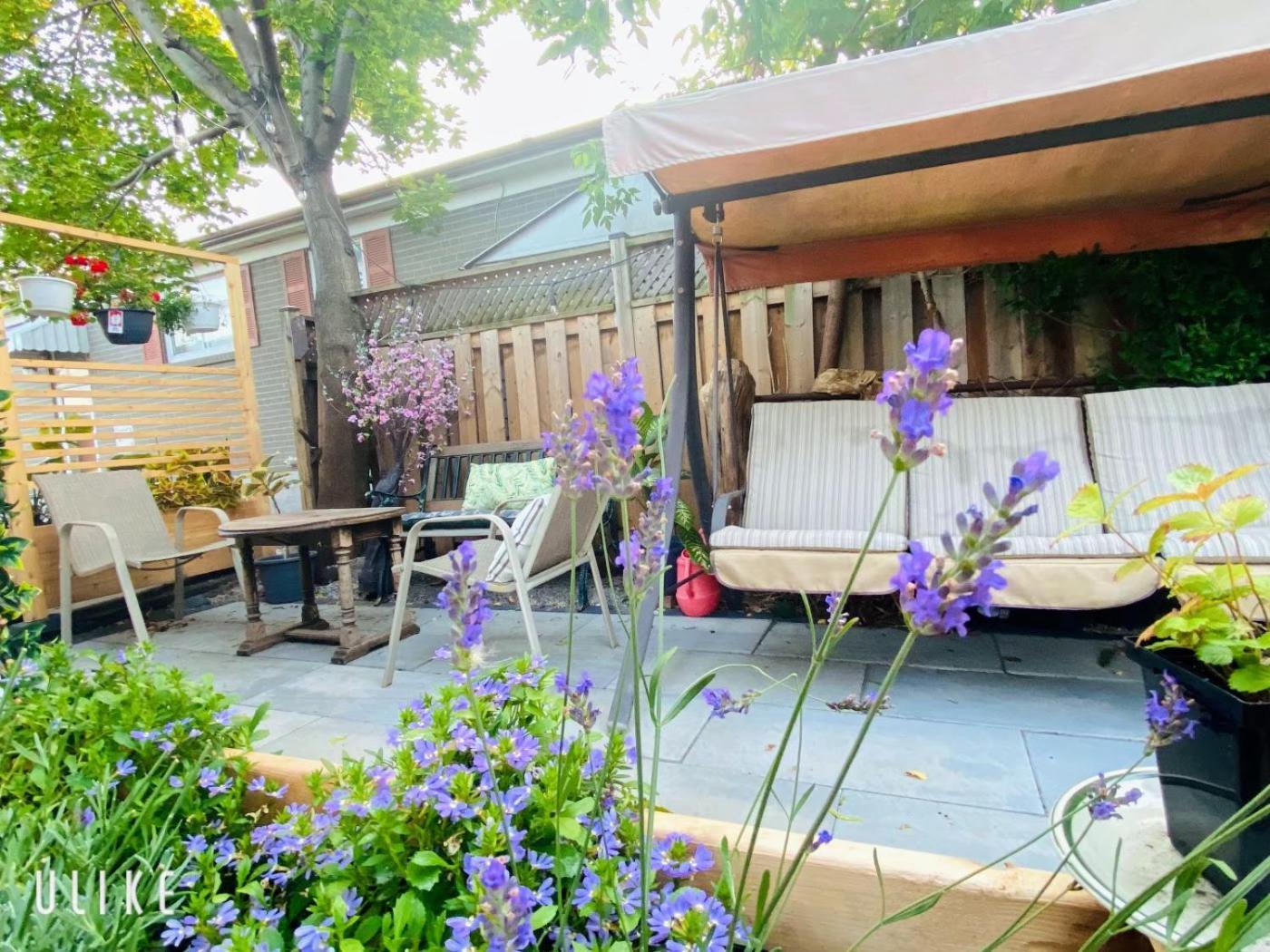 - Free Parking Bed & Breakfast Toronto