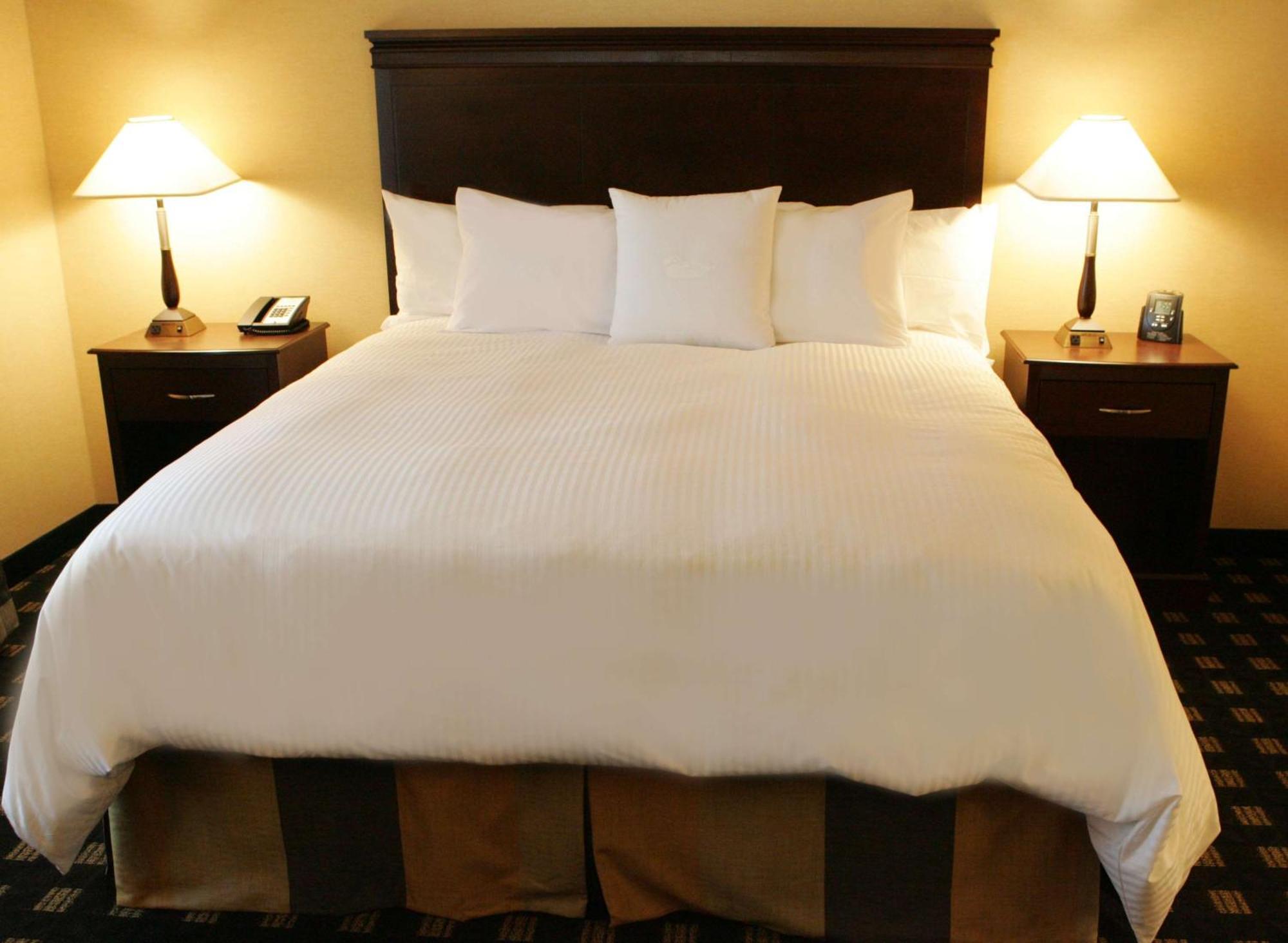 Hotel Homewood By Hilton Airport Corporate Centre