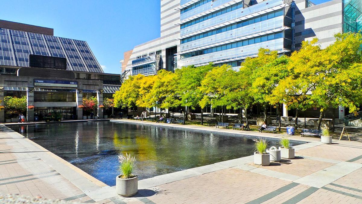 Beautiful At Yonge And Sheppard And North York Centre Toronto