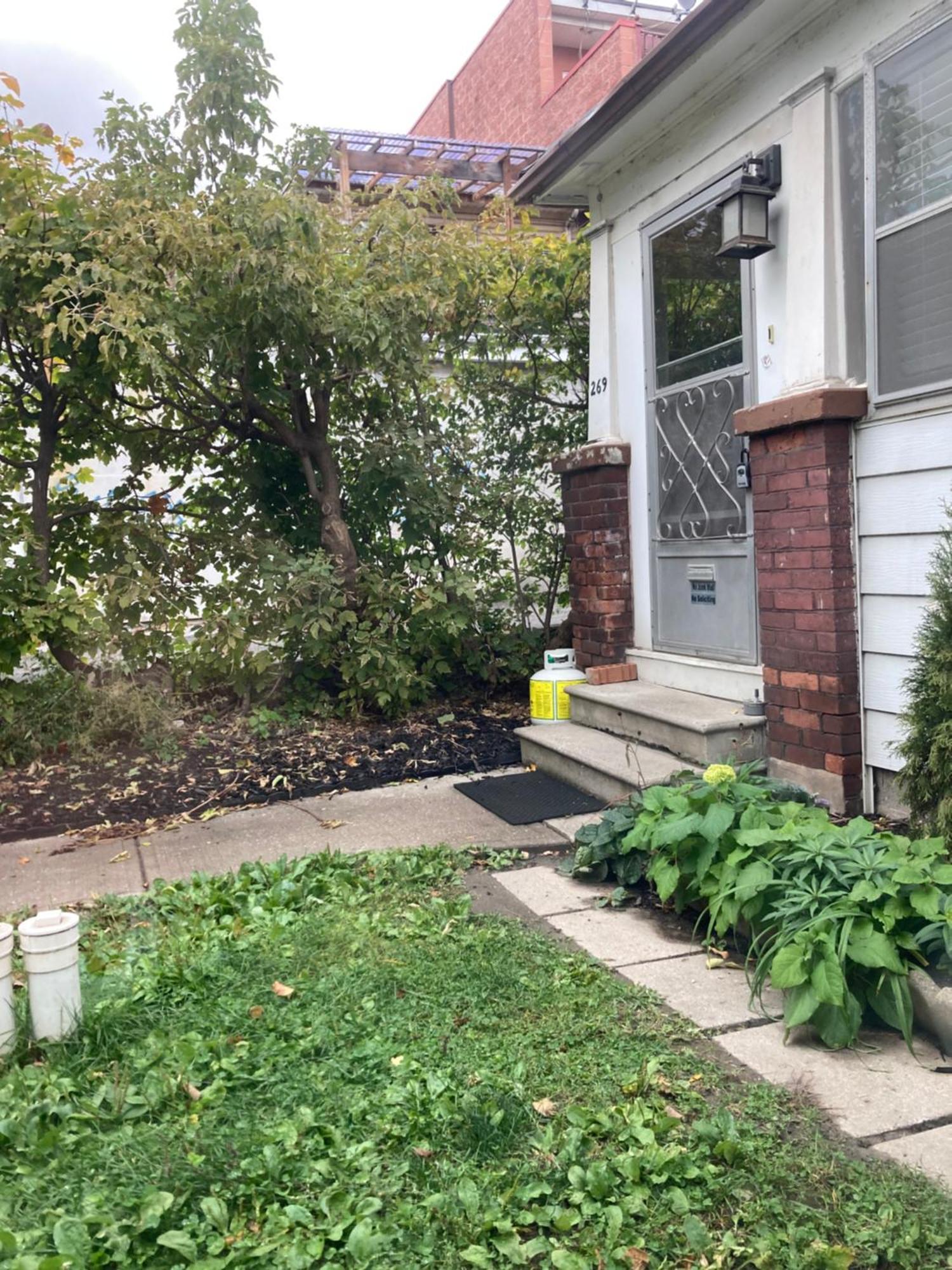Lovely Leslieville, Exploring Nature In The Toronto