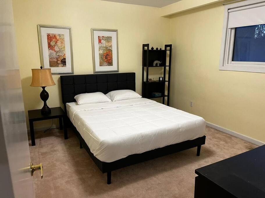 Urban Oasis-spacious Retreat *