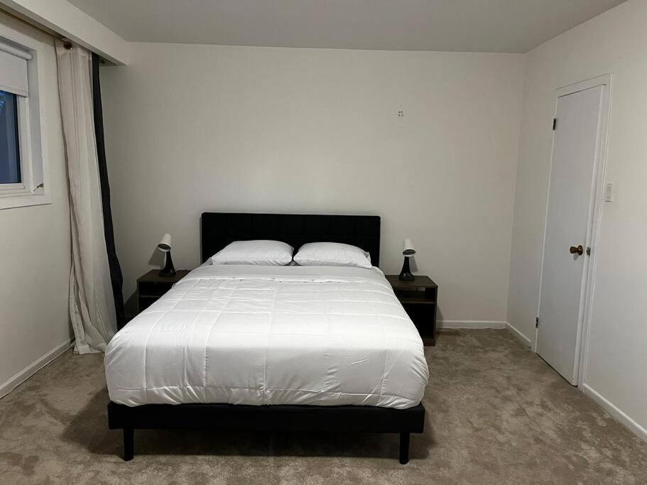 Urban Oasis-spacious Retreat Apartment Toronto