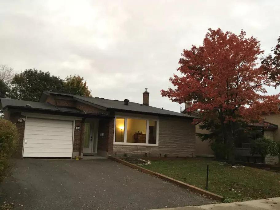 Guest house Private Rooms, Free Parking, Full Kitchen, Prices In Town- York Heights