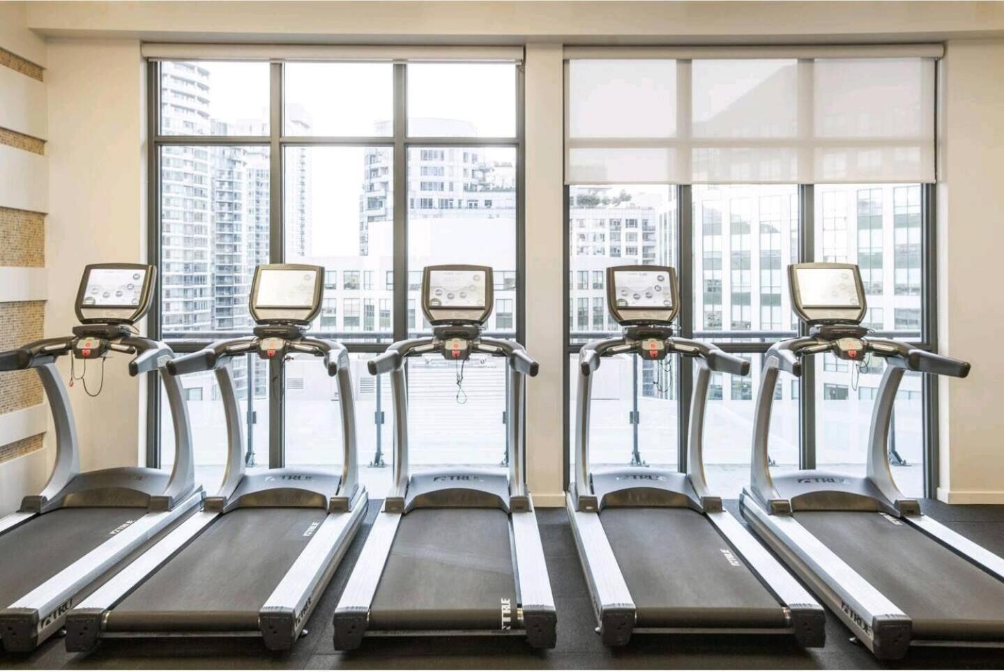 3br Skyline - By Cn Tower & Mtcc & Free Parking Apartment Toronto