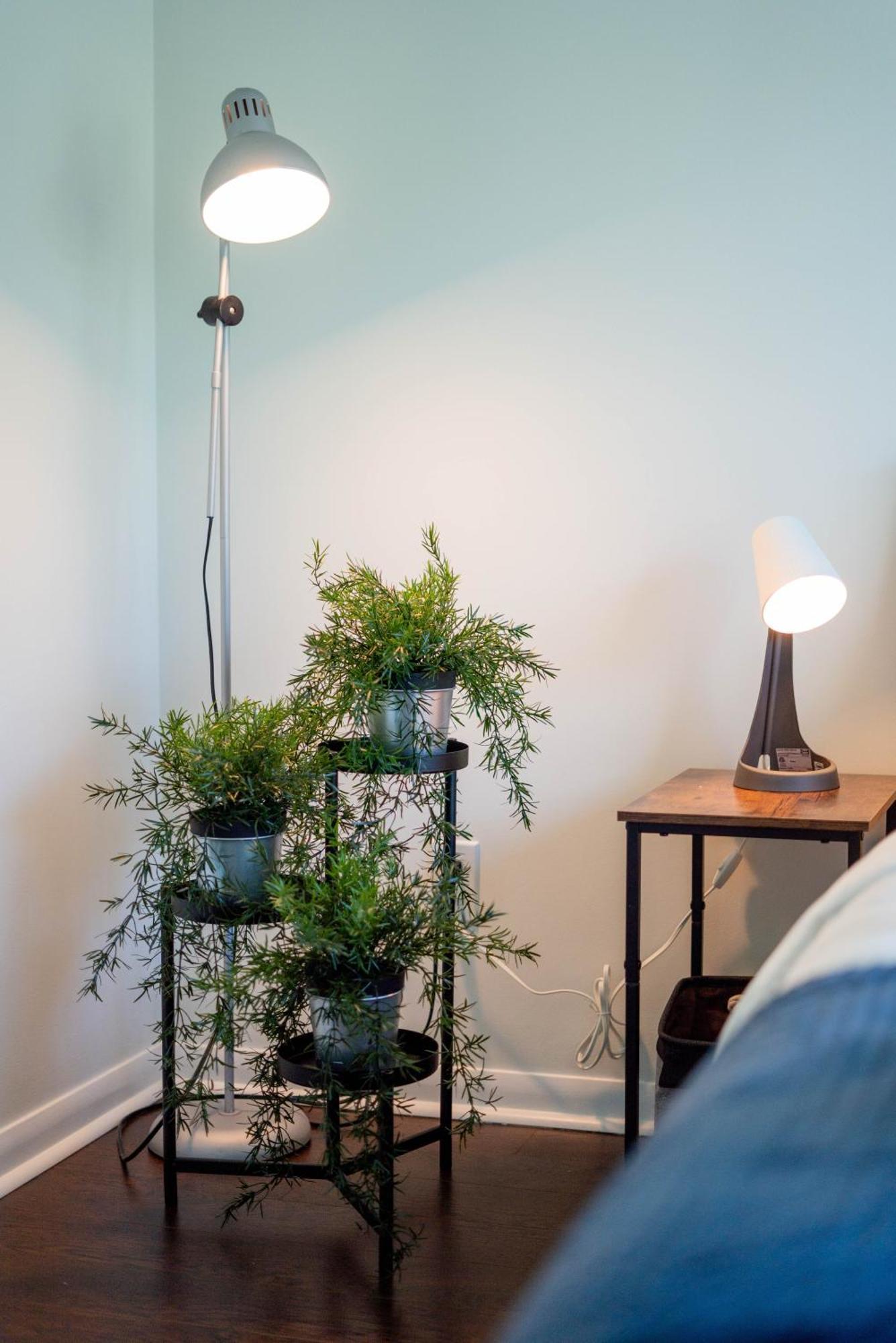 Modern 2br Downtown Condo, Lakeshore, Exhibition Place, York Apartment Toronto