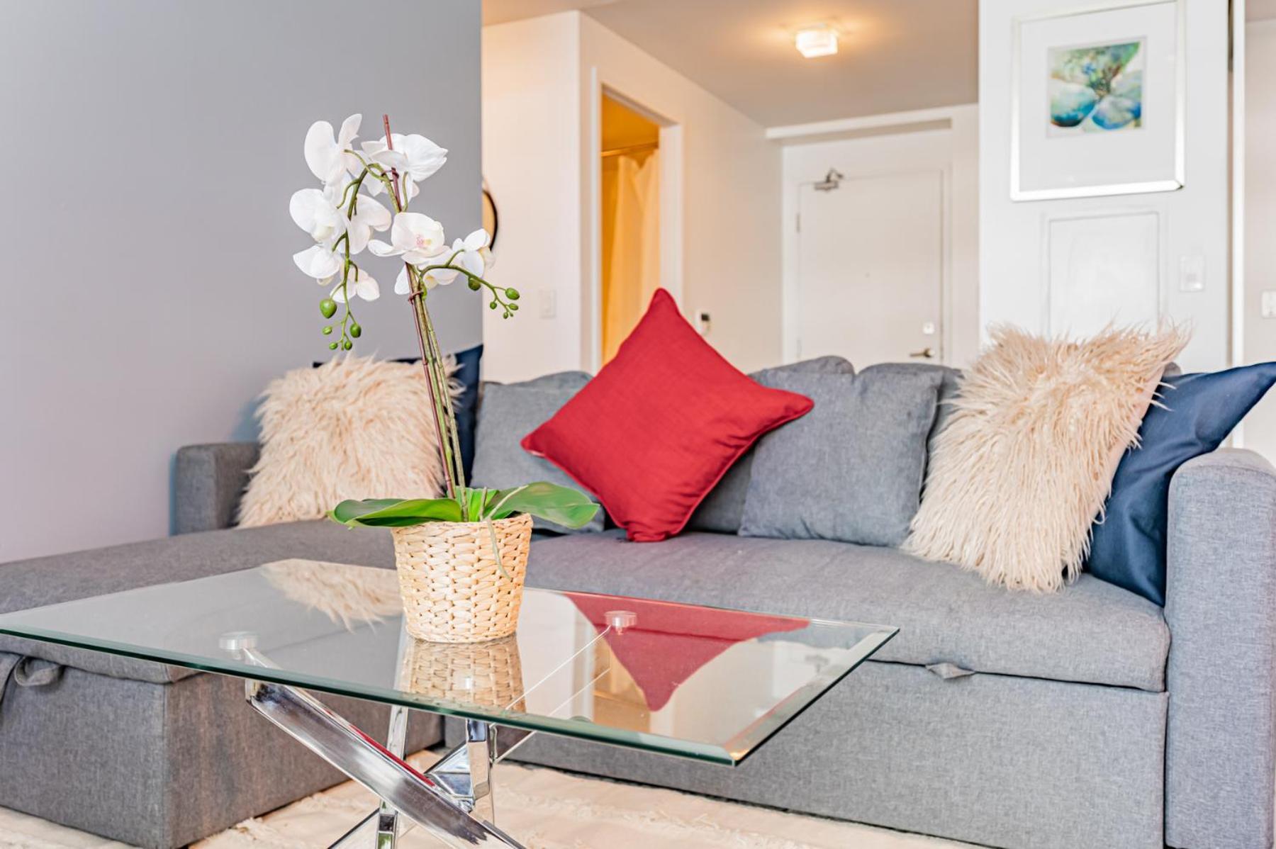 Downtown Apartment Toronto