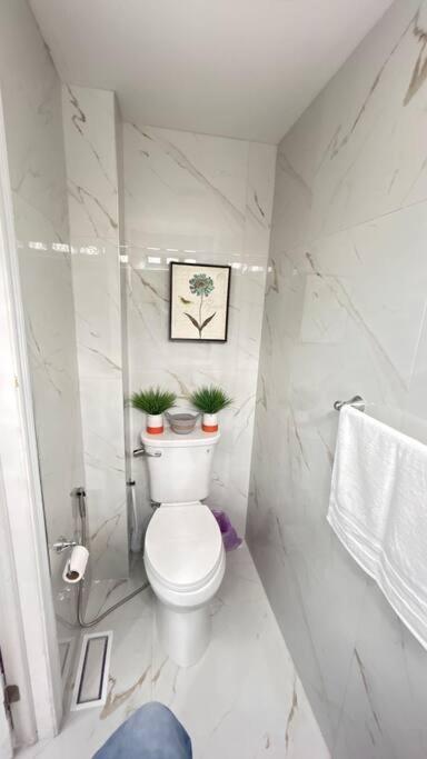 Super Luxury Family - 3 Bedrooms, 1 Full Bathroom And 1 Half Washroom With Free Parking, Wifi, Netflix Holiday home *