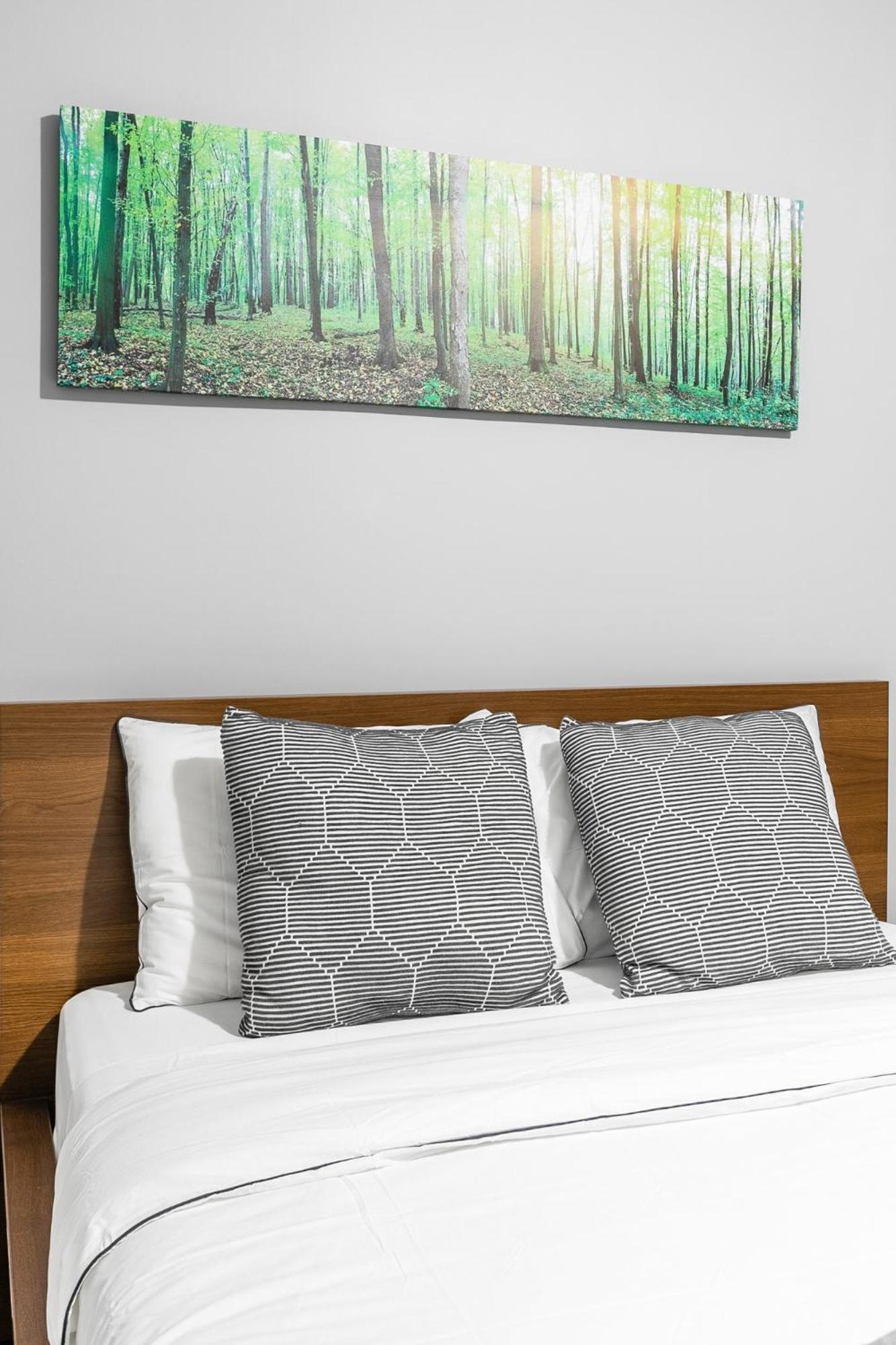 Pet-friendly 6-guest Capacity Apt On Ossington Ave