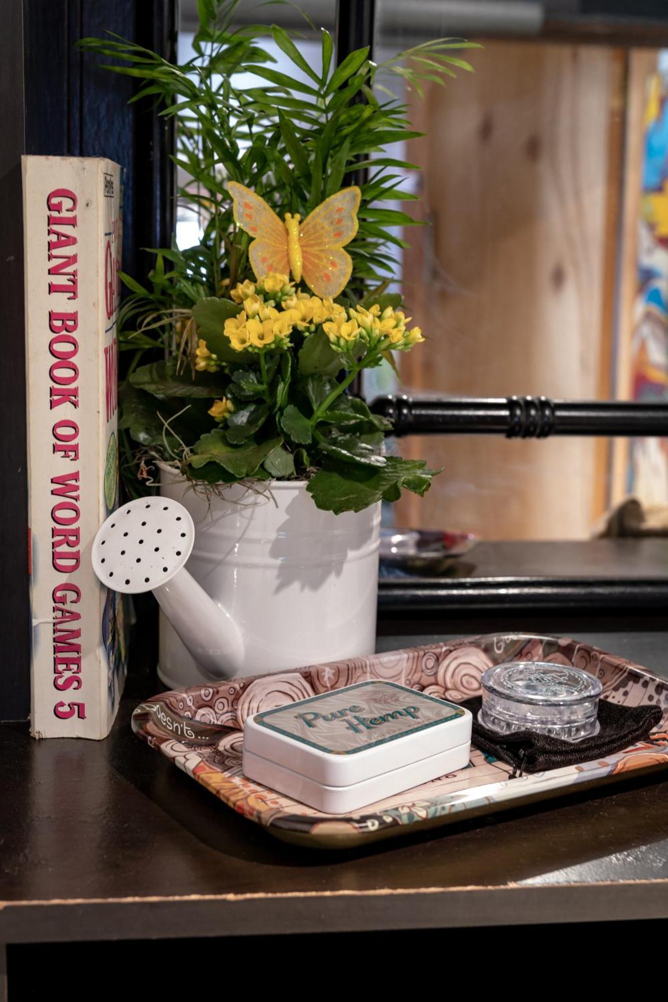 Homestay The Den Toronto