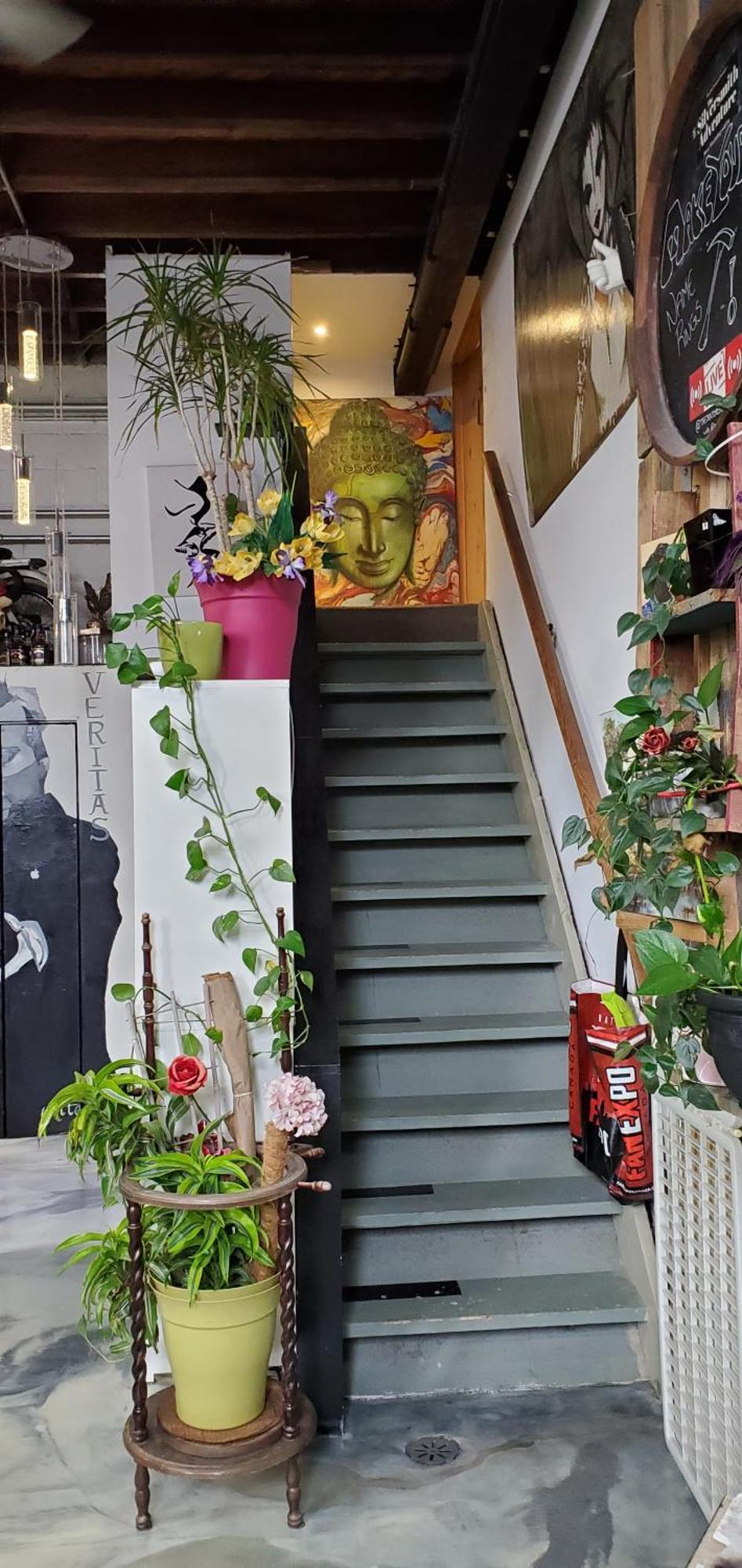 The Den Homestay Toronto