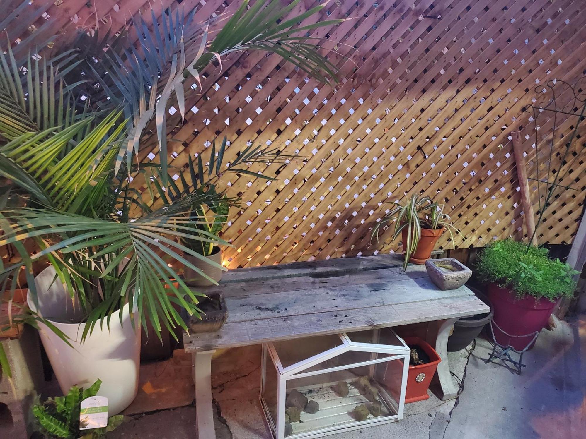 The Den Homestay