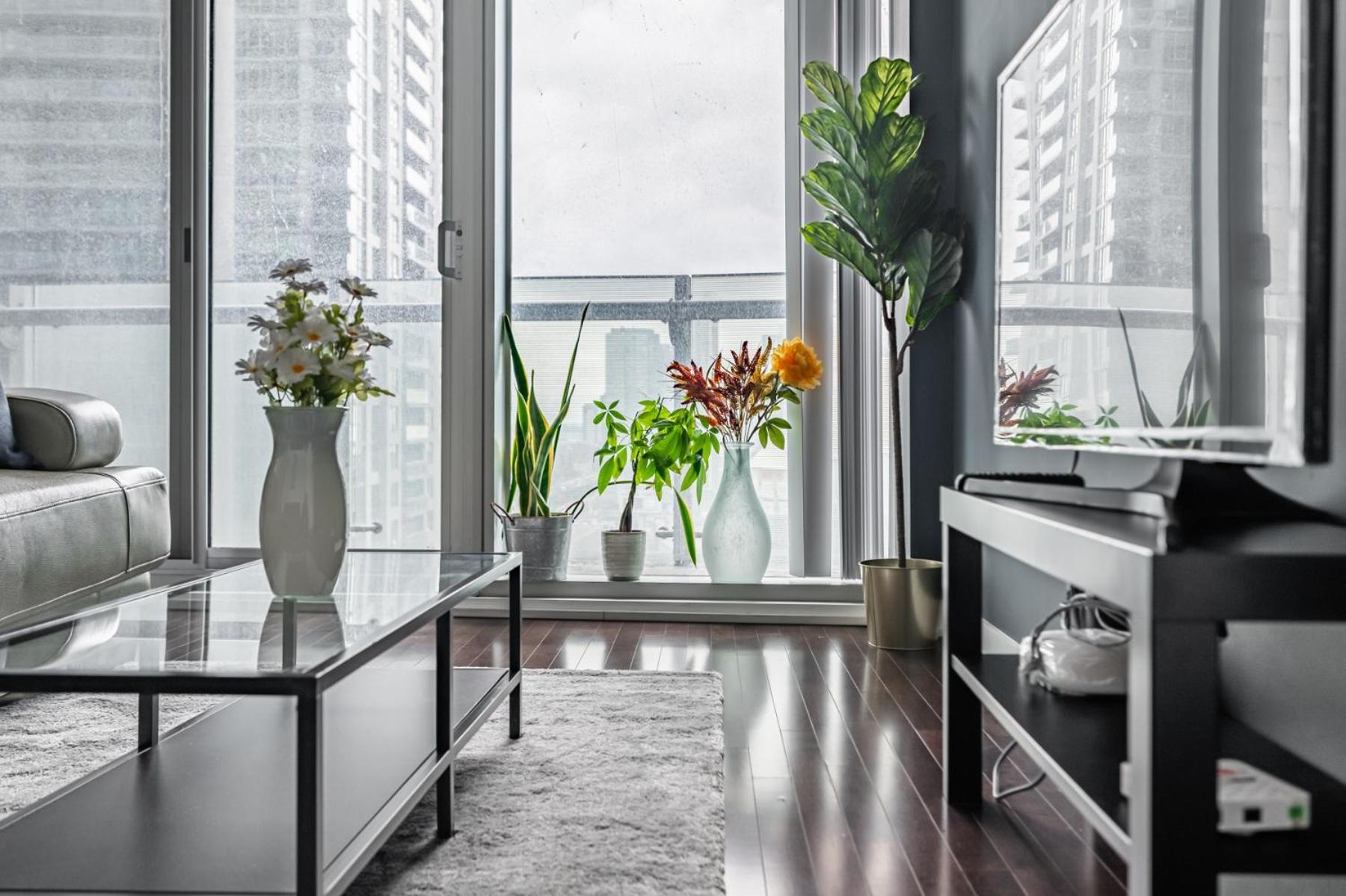 Downtown 1 * Toronto