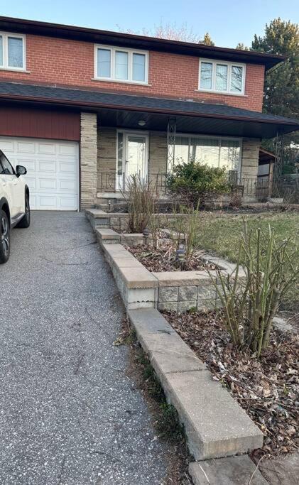 1-br Basement: Ttc/subway Access