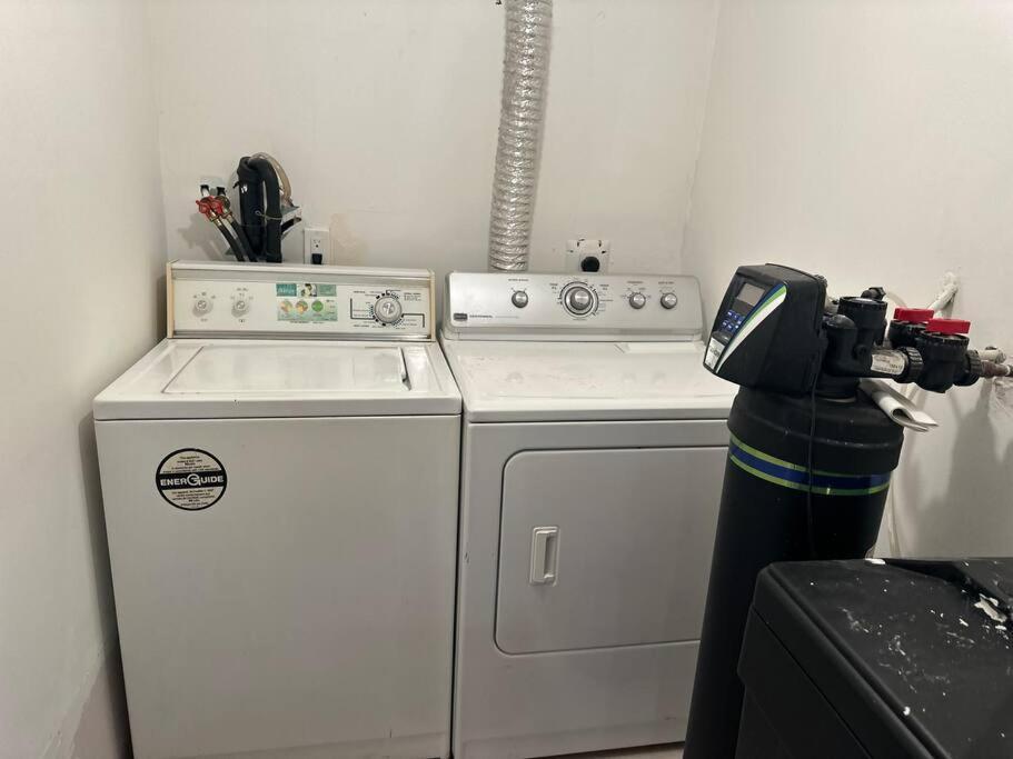 Apartment 1-br Basement: Ttc/subway Access *