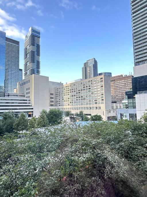 Location In Downtown- Walking To Eaton Centre, Nathan Phillips Square, Yonge-dundas, Ikea,transit Toronto