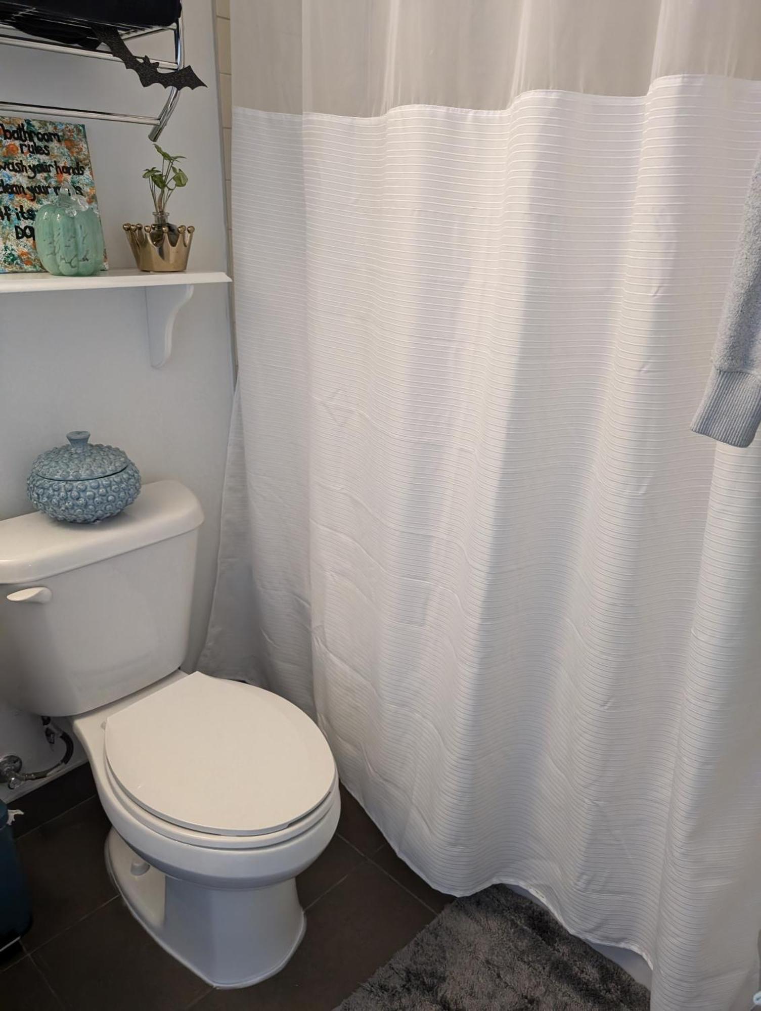 Liberty Village 1 Bedroom 2 Bathroom Toronto