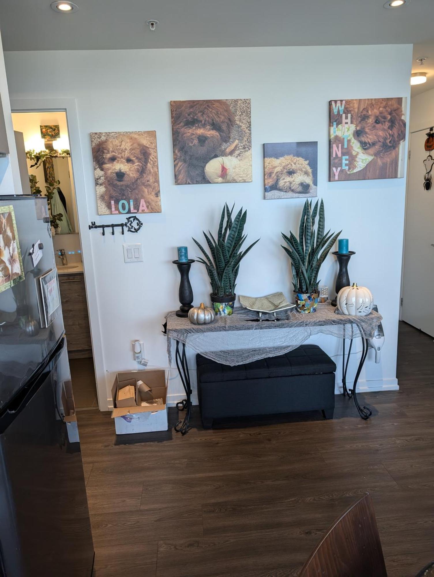 Liberty Village 1 Bedroom 2 Bathroom