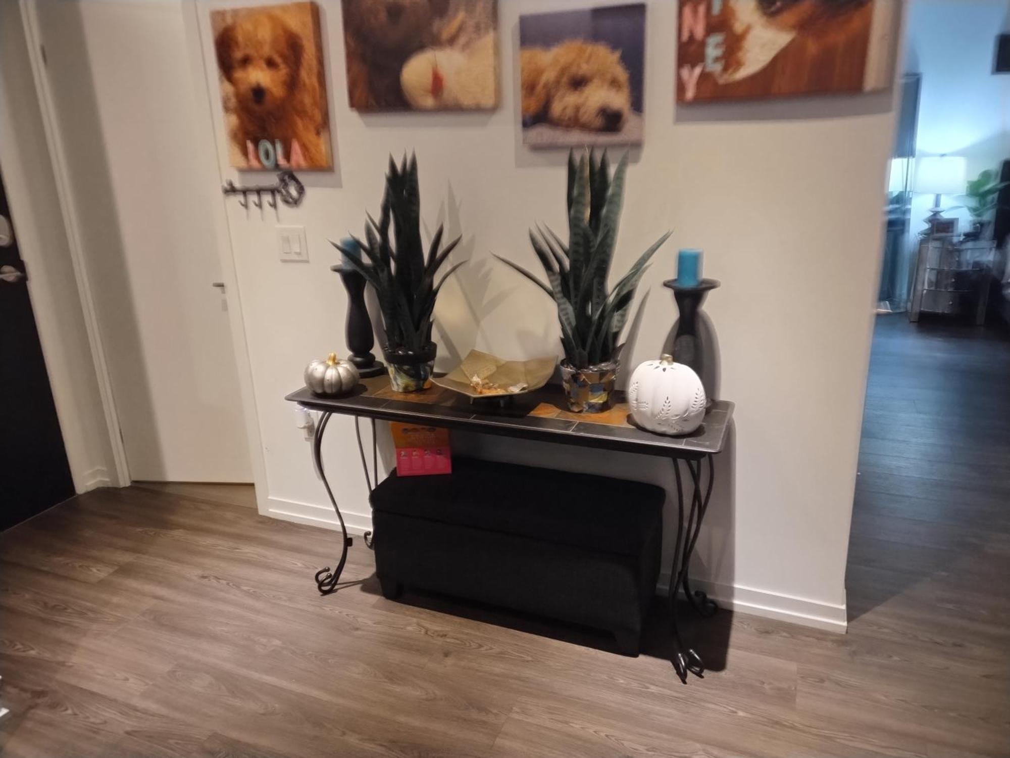 Liberty Village 1 Bedroom 2 Bathroom Apartment