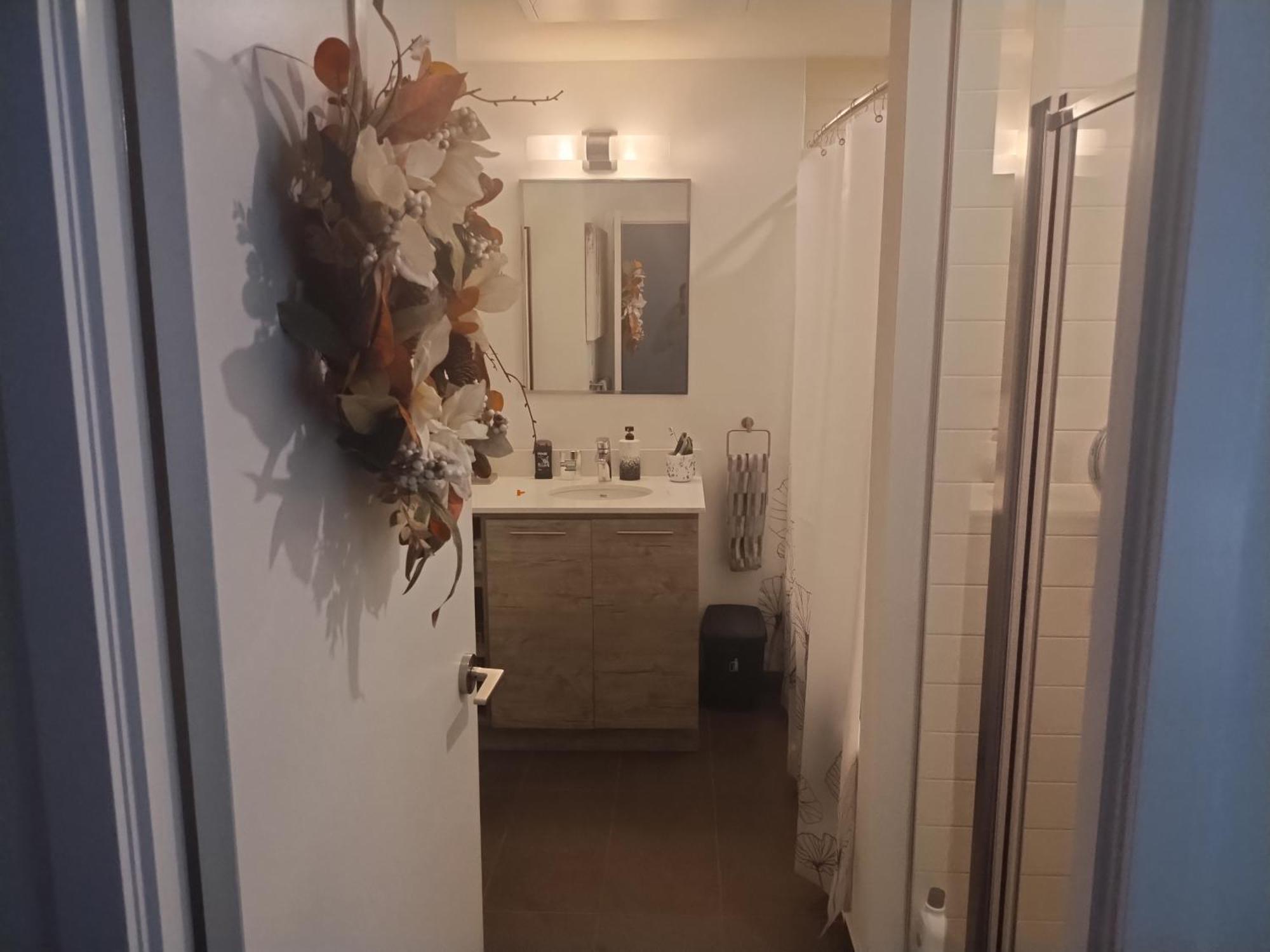 Liberty Village 1 Bedroom 2 Bathroom Toronto