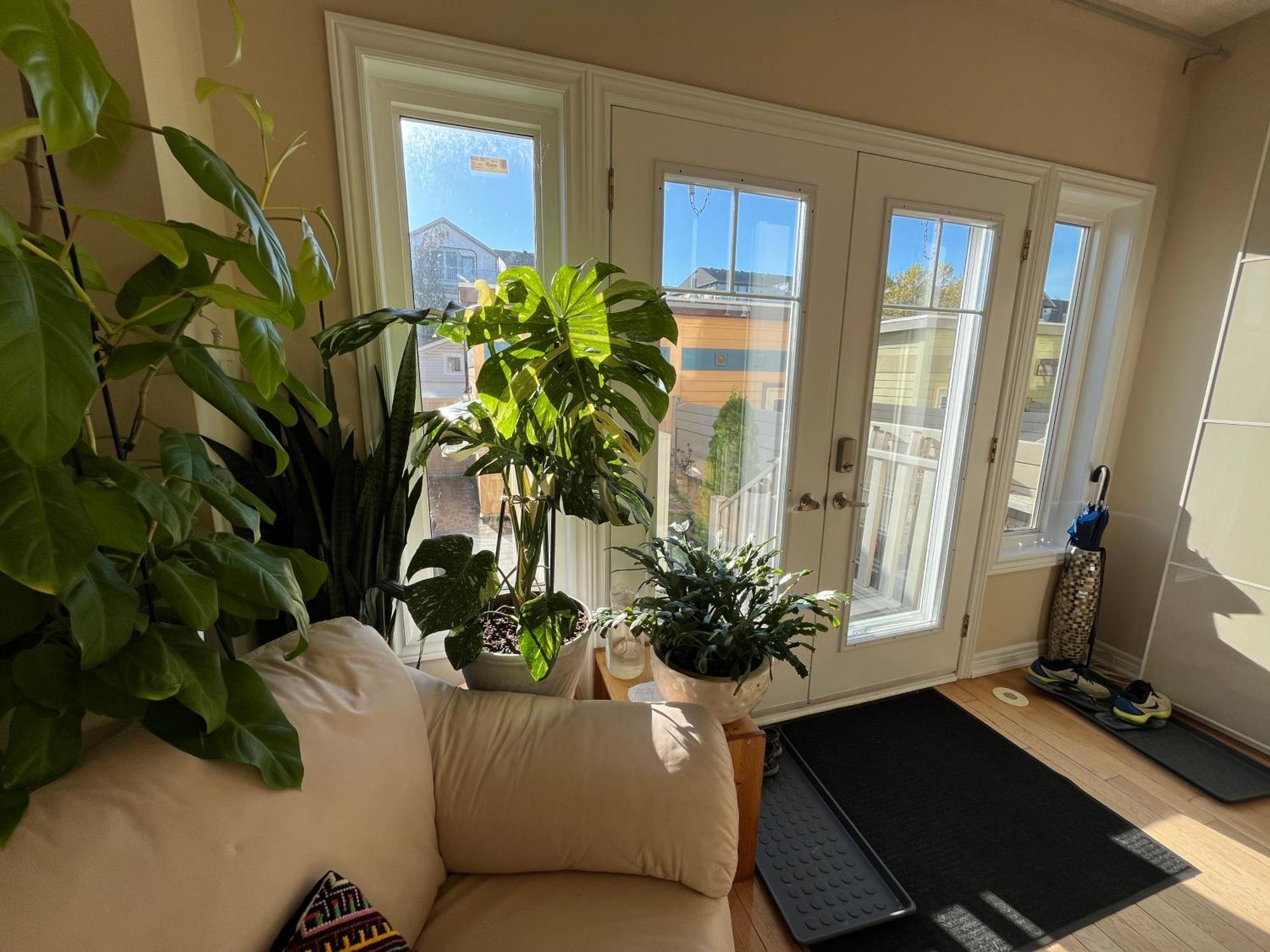 Homestay Stunning In Townhouse Across The