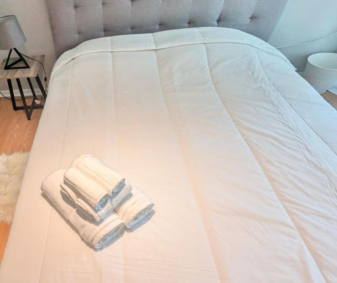 Stylish 1br With Balcony, Parking In Down Town