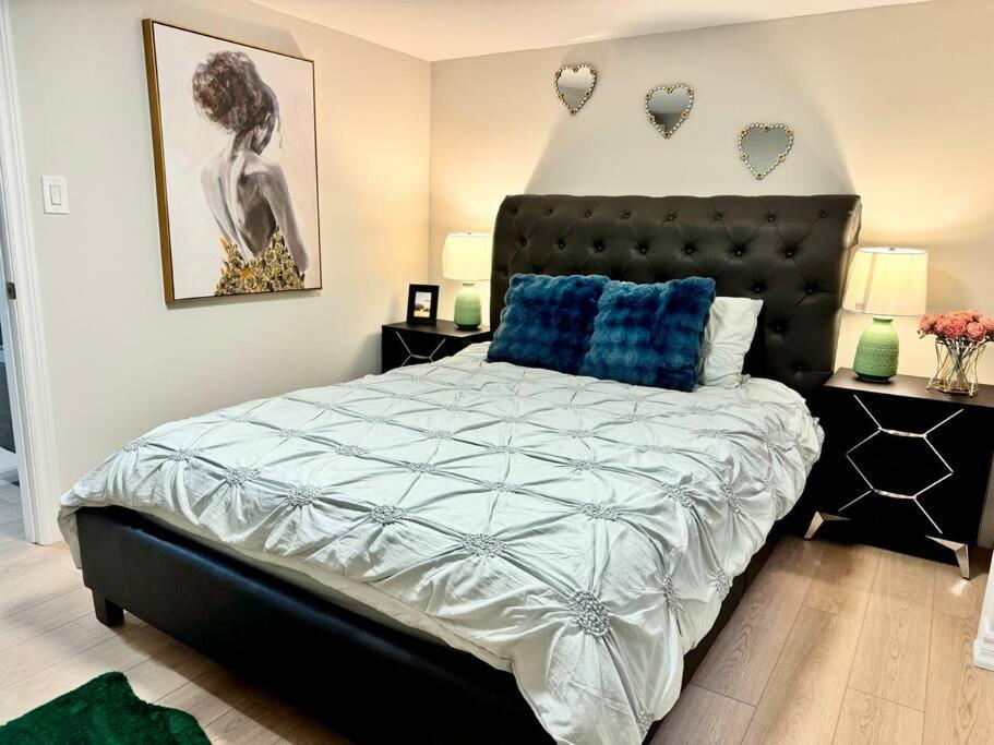 Renovated - Private Entrance & Kitchen - 1 Bedroom Toronto