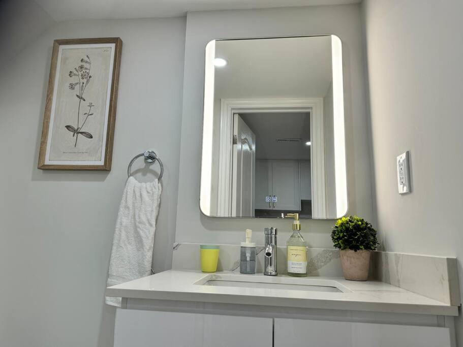 Renovated - Private Entrance & Kitchen - 1 Bedroom Apartment