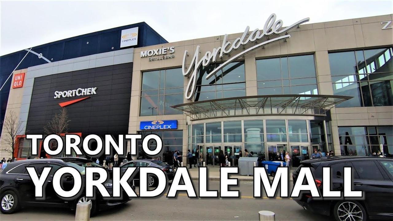 Comfortable In Next To Yorkdale Mall *