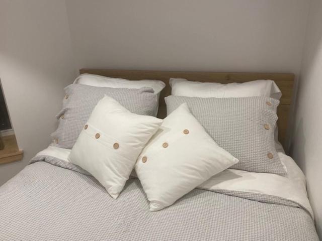 Lower Level Newly Renovated In Downtown Location * Toronto