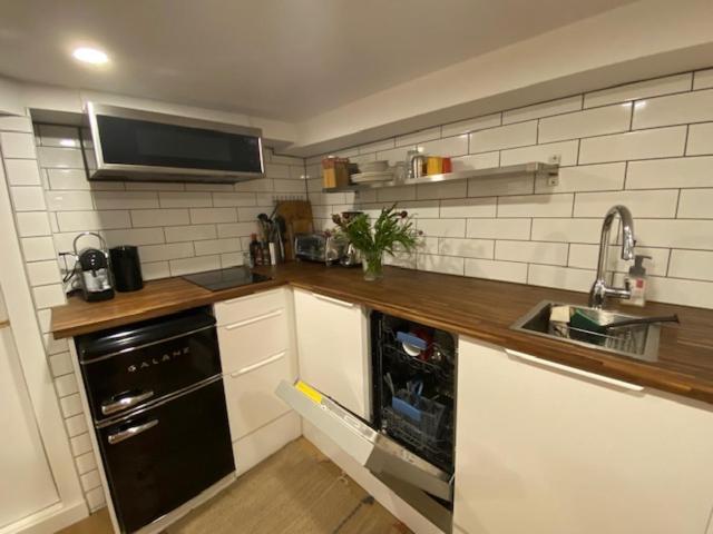 Apartment Lower Level Newly Renovated In Downtown Location Toronto