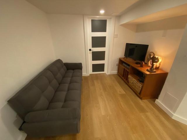 Lower Level Newly Renovated In Downtown Location