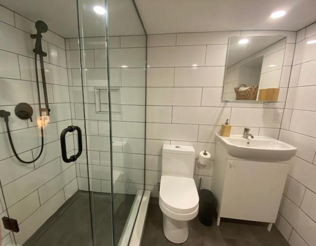 Apartment Lower Level Newly Renovated In Downtown Location Toronto